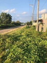 Bán đất ven biển đường QL55, thị trấn Phước Hải, huyện Đất Đỏ.