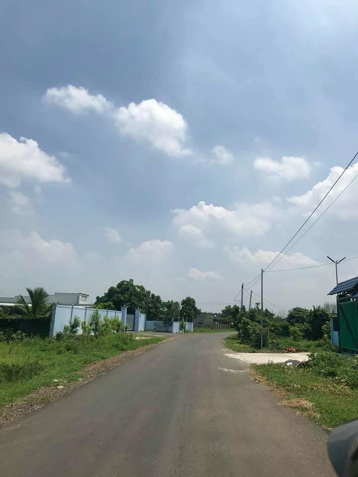 Bán 187M2 Đất đường Nguyễn Huệ, xã Phước Long Thọ, huyện Đất Đỏ.
