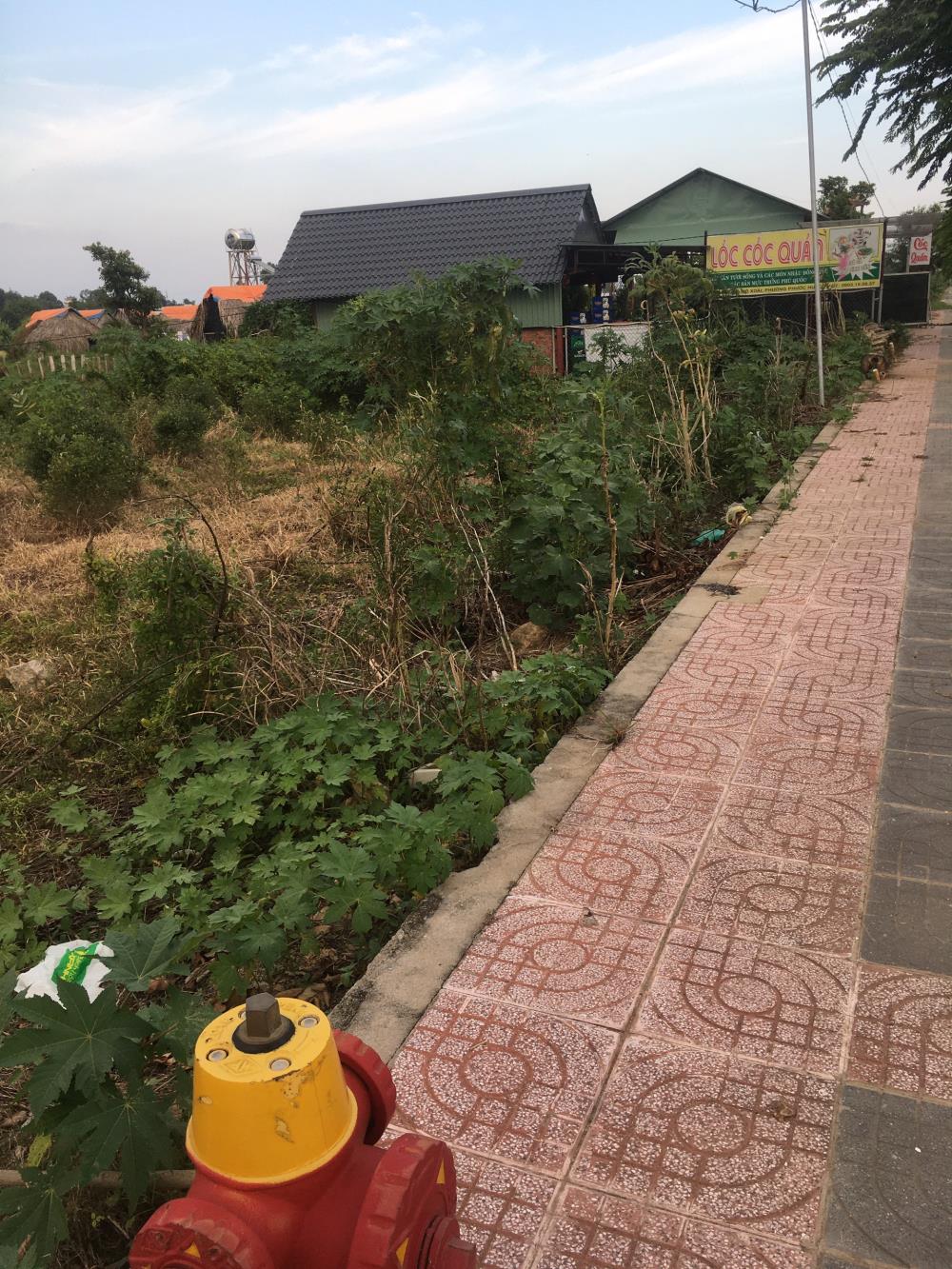 Bán đất mặt tiền đường Mô Xoài, phường Phước Hưng, Tp. Bà Rịa