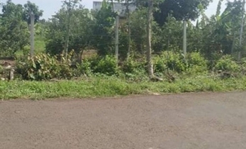 Bán đất mặt tiền đường nhựa thuộc xã Long Tân Huyện Đất Đỏ, tỉnh BRVT