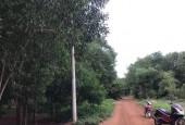 Bán 2 sào đất vườn xã Phước Hội, huyện Đất Đỏ.