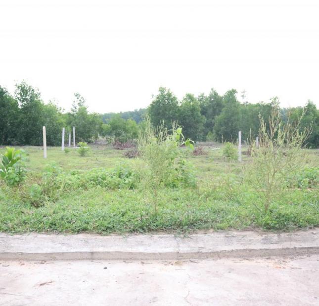 Cần bán lô đất gần Quốc lộ 55, huyện Xuyên Mộc.