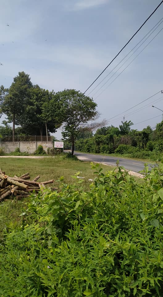 Bán 2 lô đất ngay cổng chào xã Tam Phước, huyện Châu Đức.
