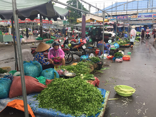 Cần bán lô đất mặt tiền đường Hội Bài-Châu Pha, xã Tân Hòa, thị trấn Phú Mỹ.