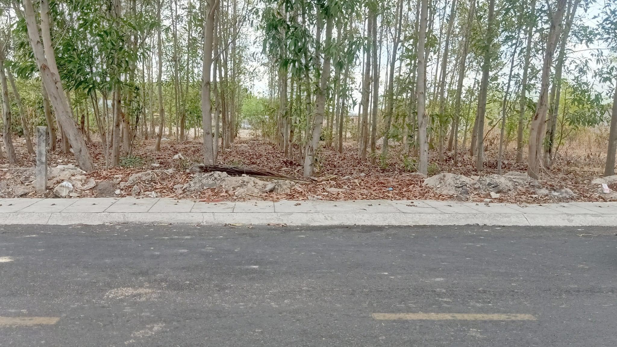 Cần bán 444m2 đất mặt tiền đường nhựa xã Tam Phước, huyện Long Điền, tỉnh BRVT