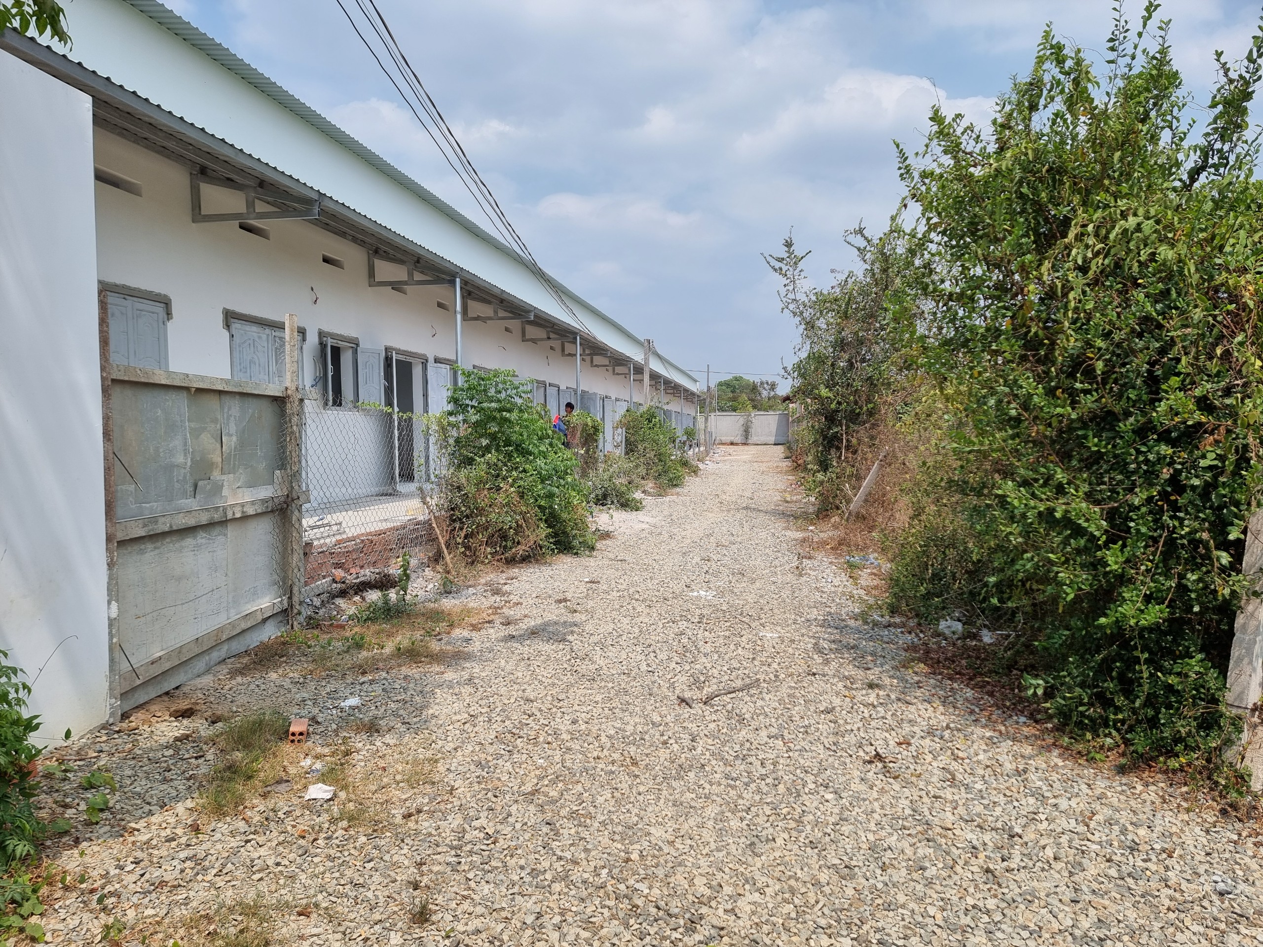 Cần bán 4454 m² đất xã Long Phước, TP Bà Rịa.