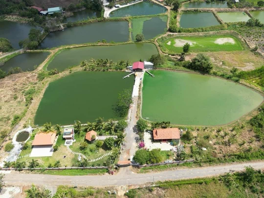 Cần bán khu nghĩ dưỡng rộng 22.000m2 (2MẪU2) xã Láng Dài, huyện Đất Đỏ, tỉnh BRVT.