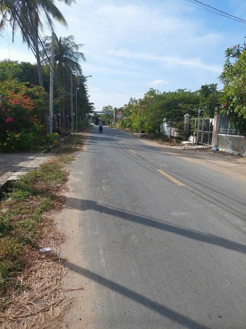 Bán đất mặt tiền đường Phan Đăng Lưu, xã An Ngãi, huyện Long Đất