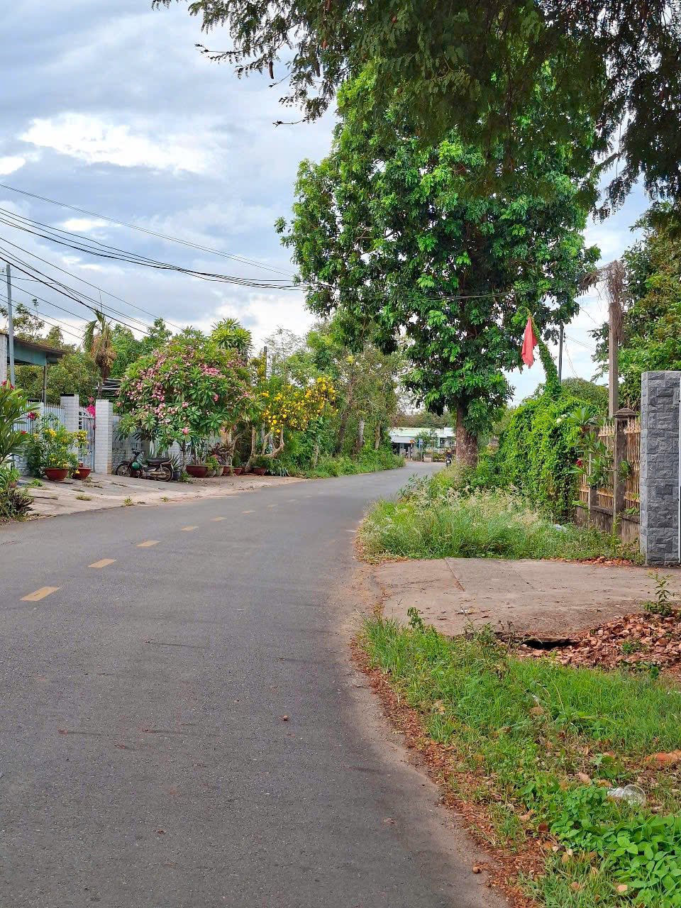 BÁN ĐẤT MẶT TIỀN ĐƯỜNG NHỰA - XÃ HÒA LONG, TP BÀ RỊA