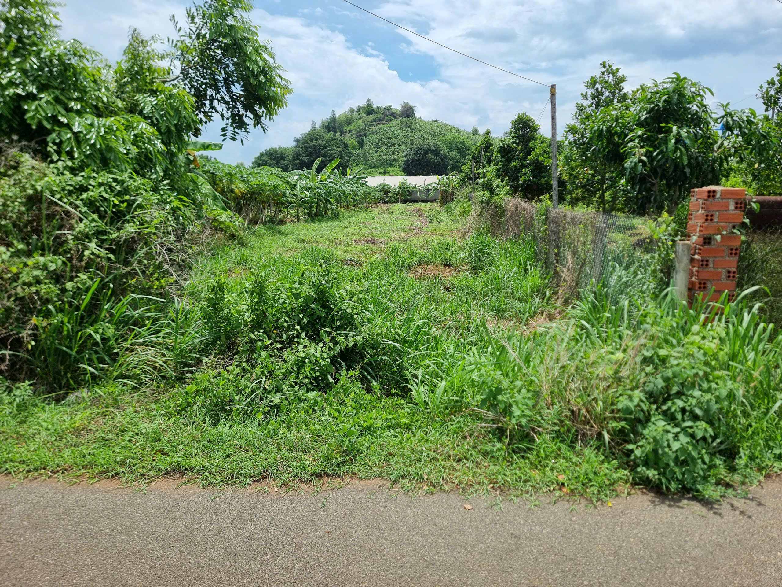 CẦN BÁN 1000m² ĐẤT MẶT TIỀN ĐƯỜNG NHỰA – XÃ LONG PHƯỚC, TP. BÀ RỊA