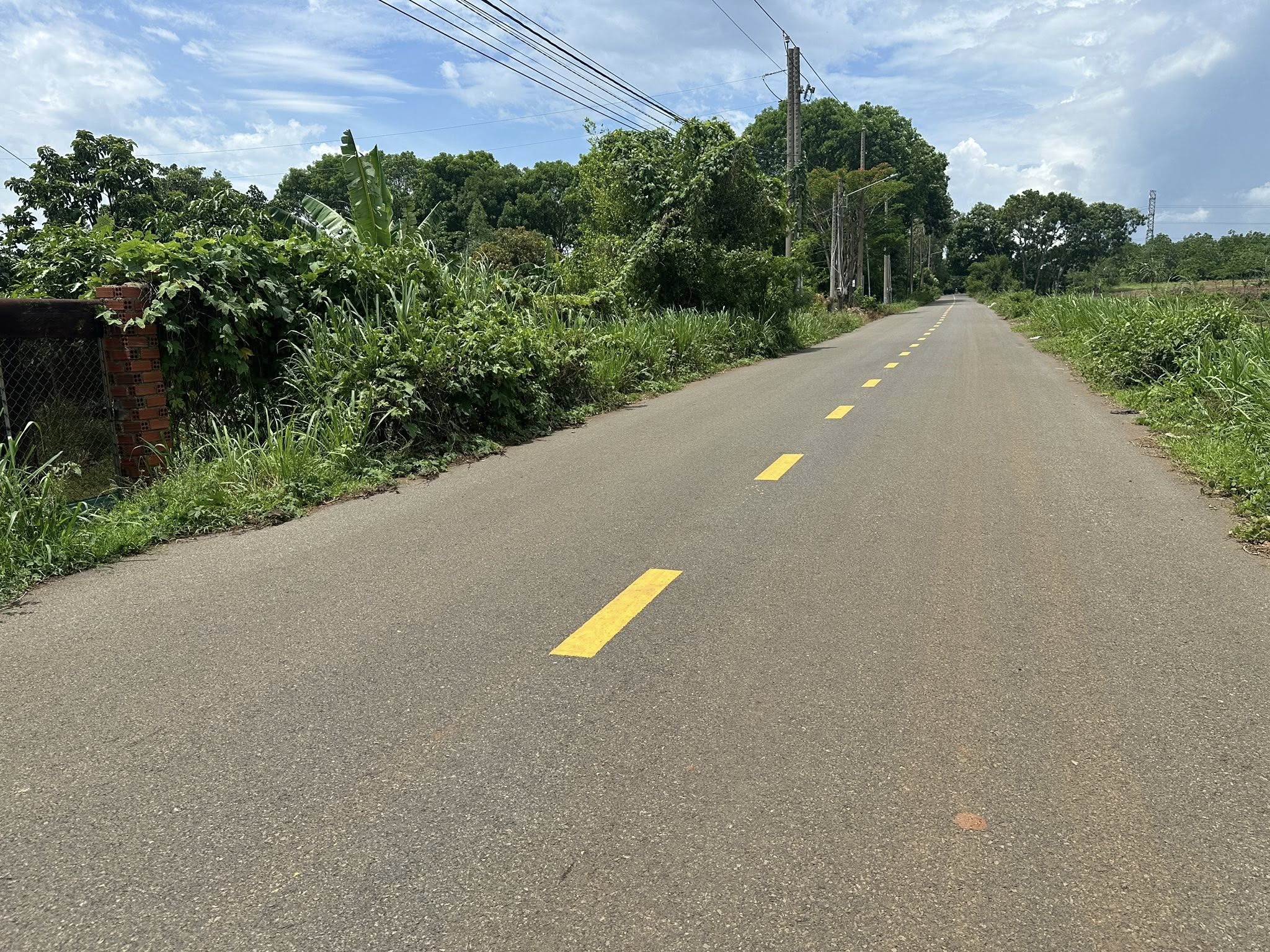 CẦN BÁN 1000m² ĐẤT MẶT TIỀN ĐƯỜNG NHỰA – XÃ LONG PHƯỚC, TP. BÀ RỊA