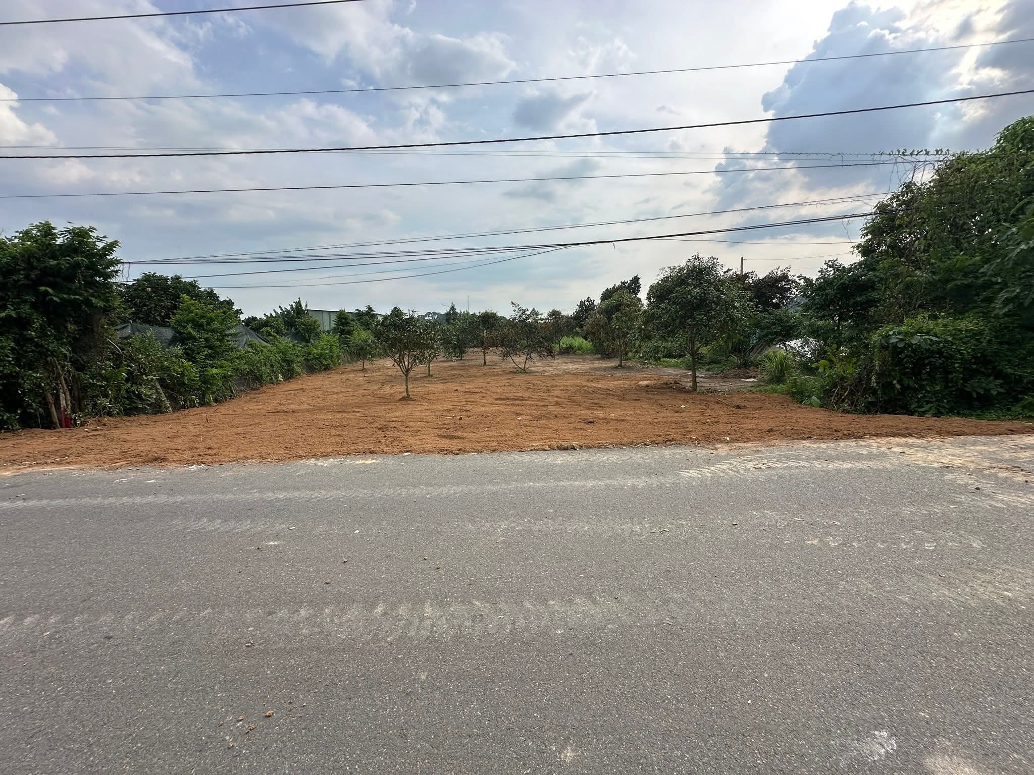 BÁN ĐẤT MẶT TIỀN ĐƯỜNG SỐ 14 – LONG PHƯỚC (P. Tam Long, TP.HCM)