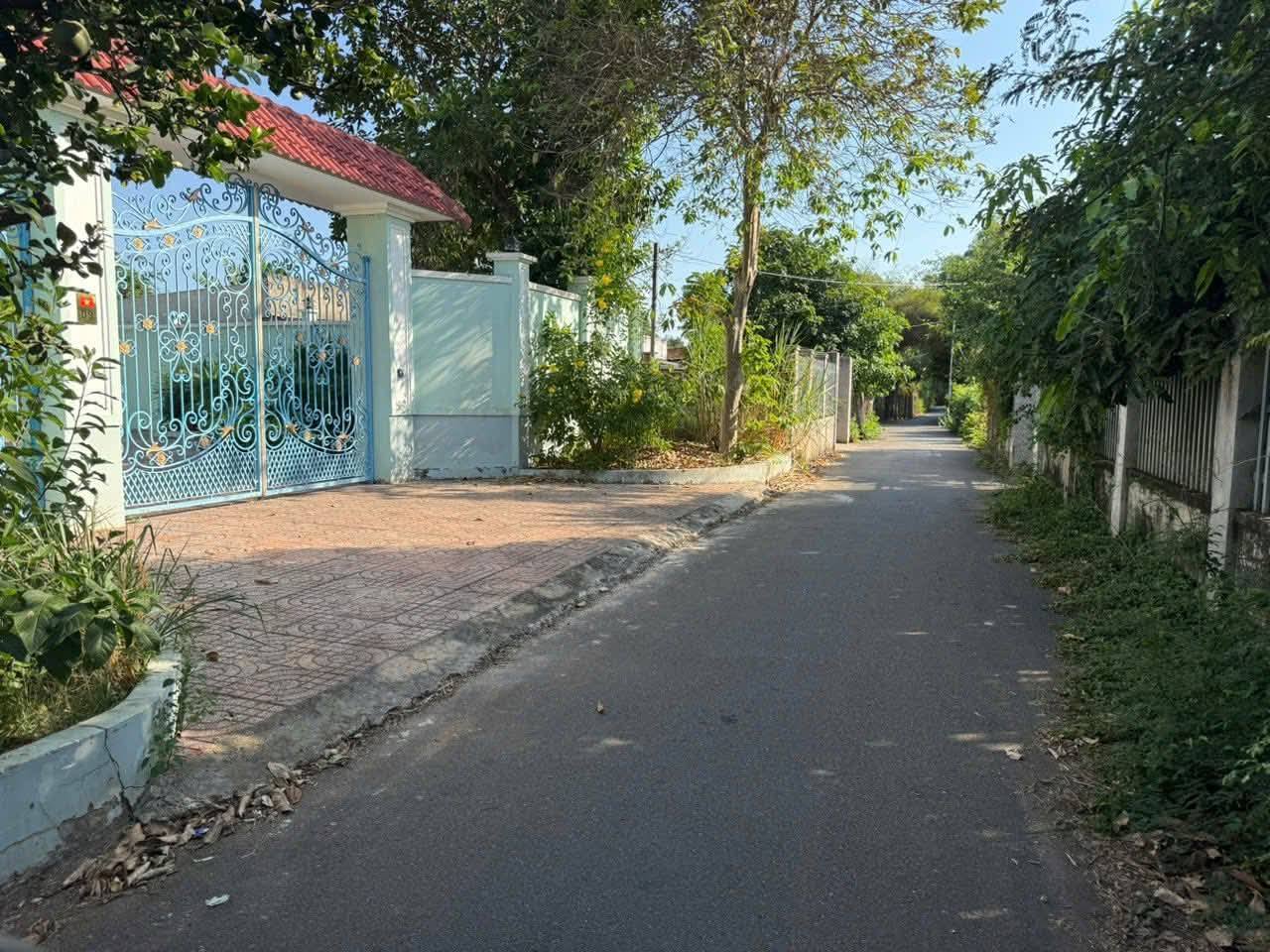 BÁN ĐẤT 10M X25M ĐƯỜNG SỐ 79 – HÒA LONG, TP.HCM