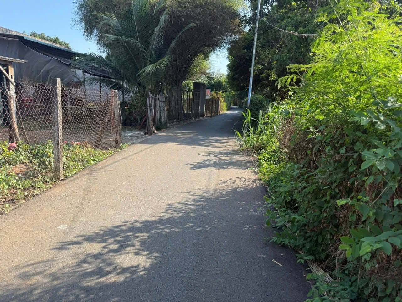 BÁN ĐẤT 10M X25M ĐƯỜNG SỐ 79 – HÒA LONG, TP.HCM