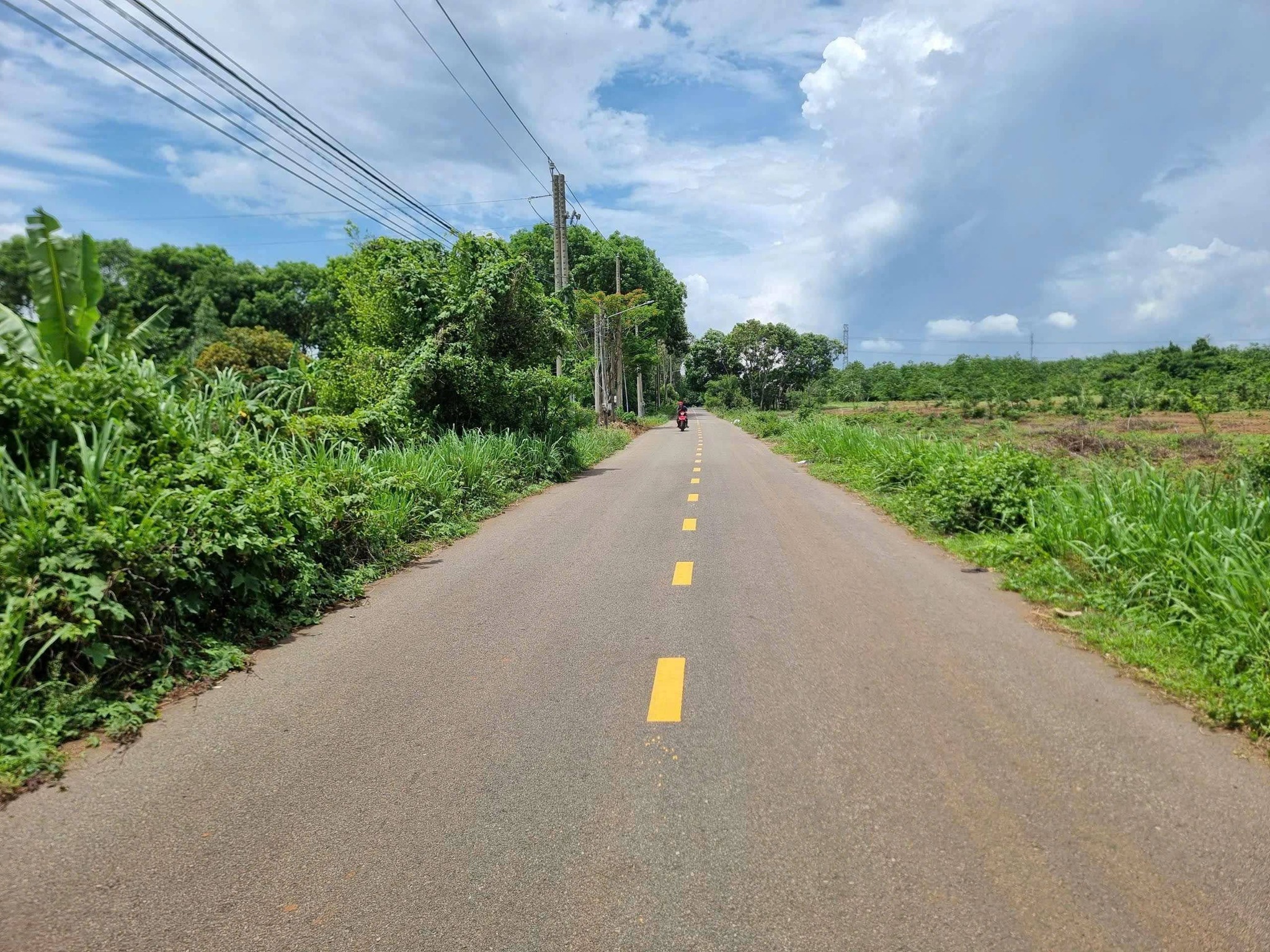 CẦN BÁN 1000m² ĐẤT MẶT TIỀN ĐƯỜNG NHỰA – LONG PHƯỚC, TP. BÀ RỊA (P. TAM LONG, TP. HCM)