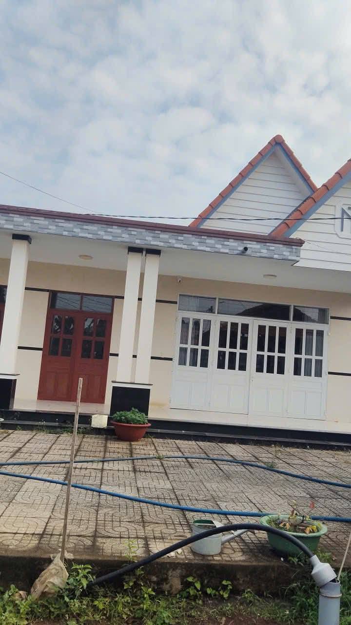 Cần bán nhà mái thái mặt tiền đường nhựa - Hòa Long (Phường Tam Long, TP.HCM)