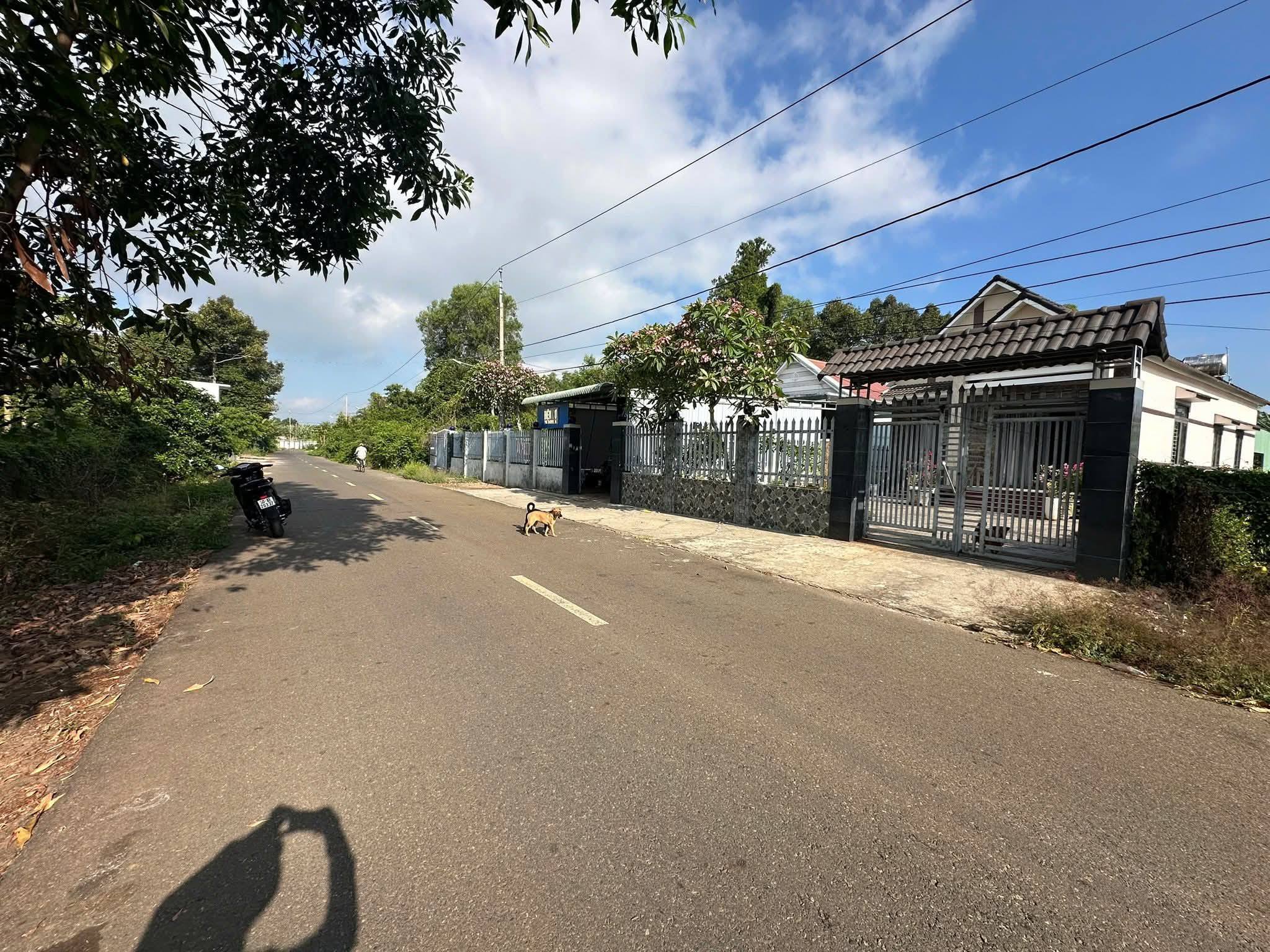 BÁN ĐẤT BIỆT THỰ VƯỜN – MẶT TIỀN ĐƯỜNG SỐ 7, P. TAM LONG, TP HCM