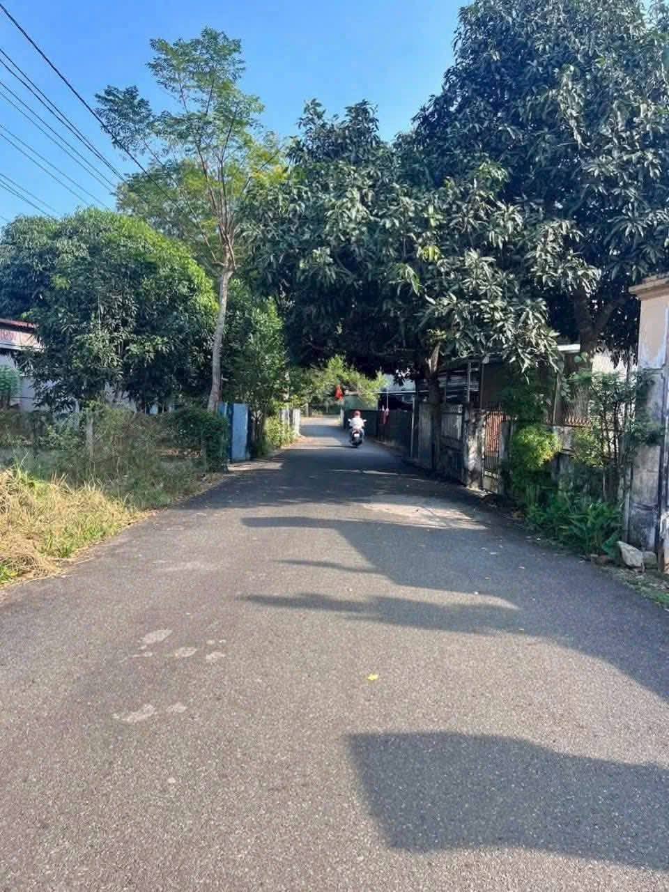 BÁN ĐẤT BIỆT THỰ VƯỜN ĐƯỜNG SỐ 7 – LONG PHƯỚC, TP. BÀ RỊA